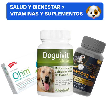 Salud y Bienestar para Perros Vitaminas, Suplementos y Probióticos para Perros Salud y Bienestar para Perros Vitaminas, Suplementos y Probióticos para Perros