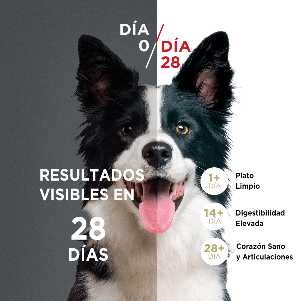 Purina® One® Cachorro Pollo Y Carne 6Kg