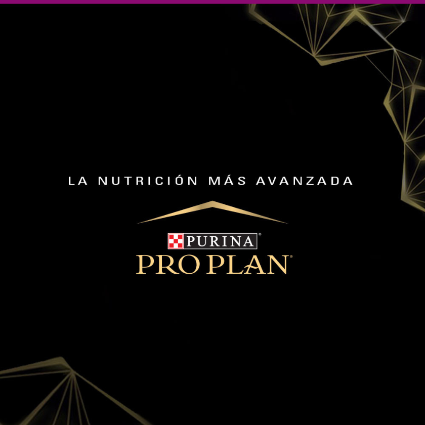 Purina Pro Plan Exigent Small con OptiEnrich 3kg