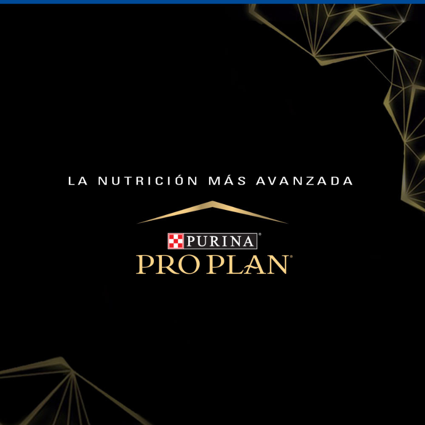Purina Pro Plan Active Mind 7+ Small con OptiAge 3kg