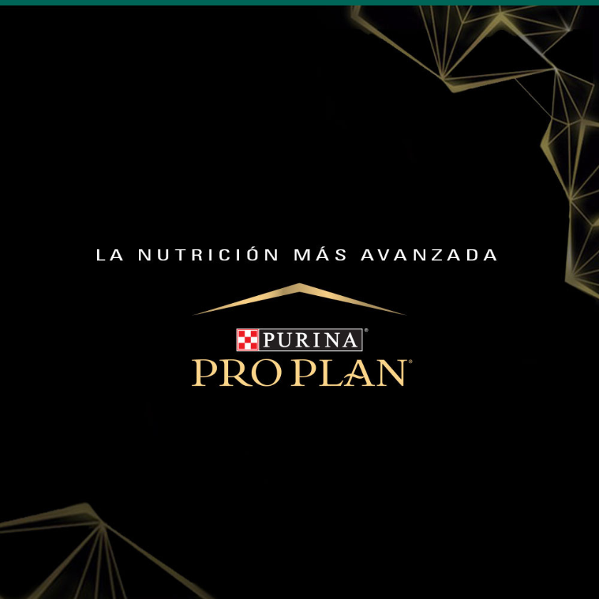 Purina Pro Plan Puppy Razas Medianas con Optistar 12kg