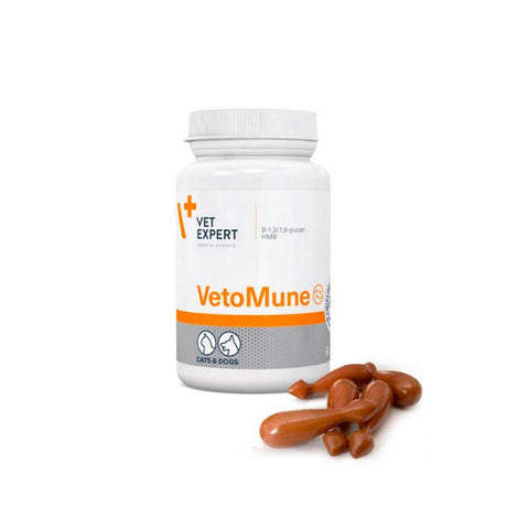 Vitaminas, Suplementos y Probióticos Vetomune Dog Cat Vet Expert 60 Tabletas Vitaminas, Suplementos y Probióticos Vetomune Dog Cat Vet Expert 60 Tabletas