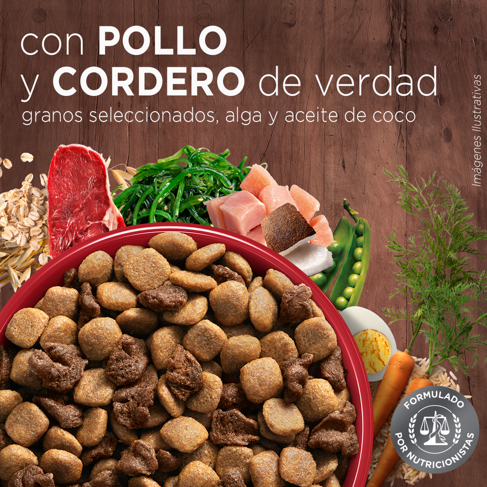 Purina® One® Adulto Mediano Y Grande Pollo Y Cordero 6Kg