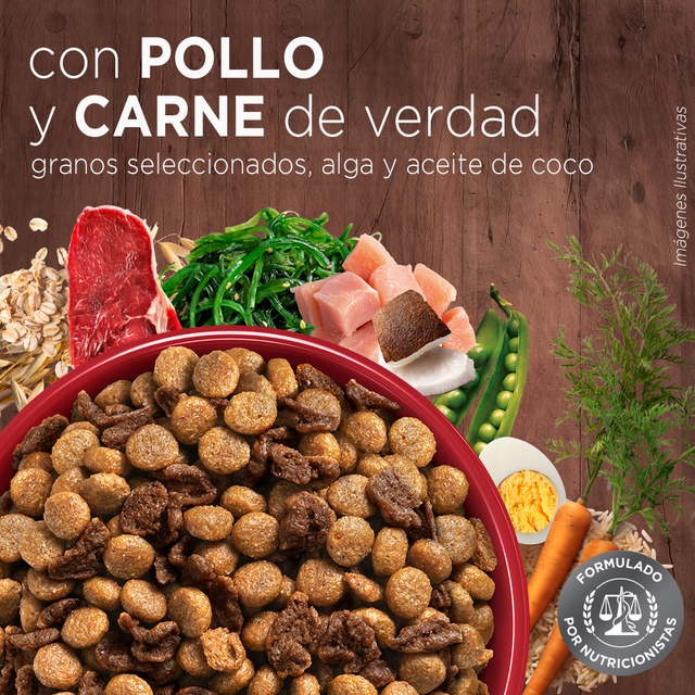 Alimento Seco Para Perro Purina® One® Cachorro Pollo Y Carne Alimento Seco Para Perro Purina® One® Cachorro Pollo Y Carne