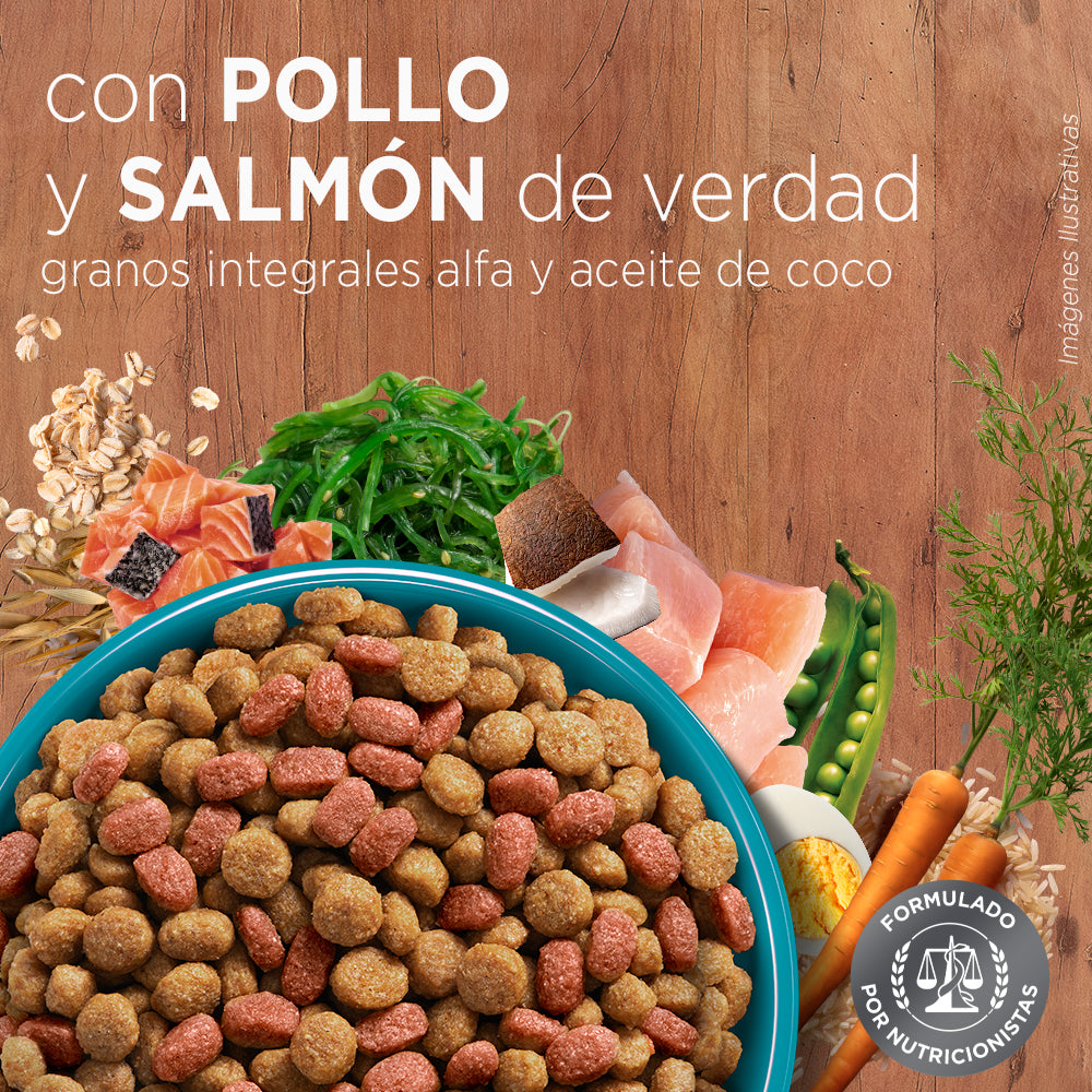 Purina® One® Esterilizado Pollo Y Salmon 6Kg