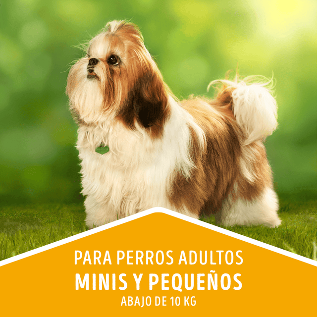 Alimento Seco Para Perro Dog Chow® Adultos Minis Y Pequenos Pollo Y Pavo 8Kg Alimento Seco Para Perro Dog Chow® Adultos Minis Y Pequenos Pollo Y Pavo 8Kg