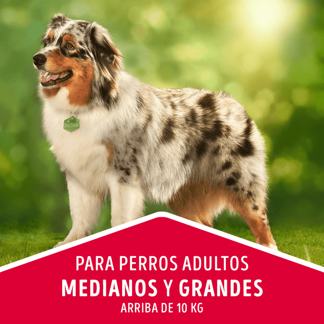 Dog Chow Perros Adultos Medianos Y Grandes Pollo Y Pavo 8Kg Dog Chow Perros Adultos Medianos Y Grandes Pollo Y Pavo 8Kg