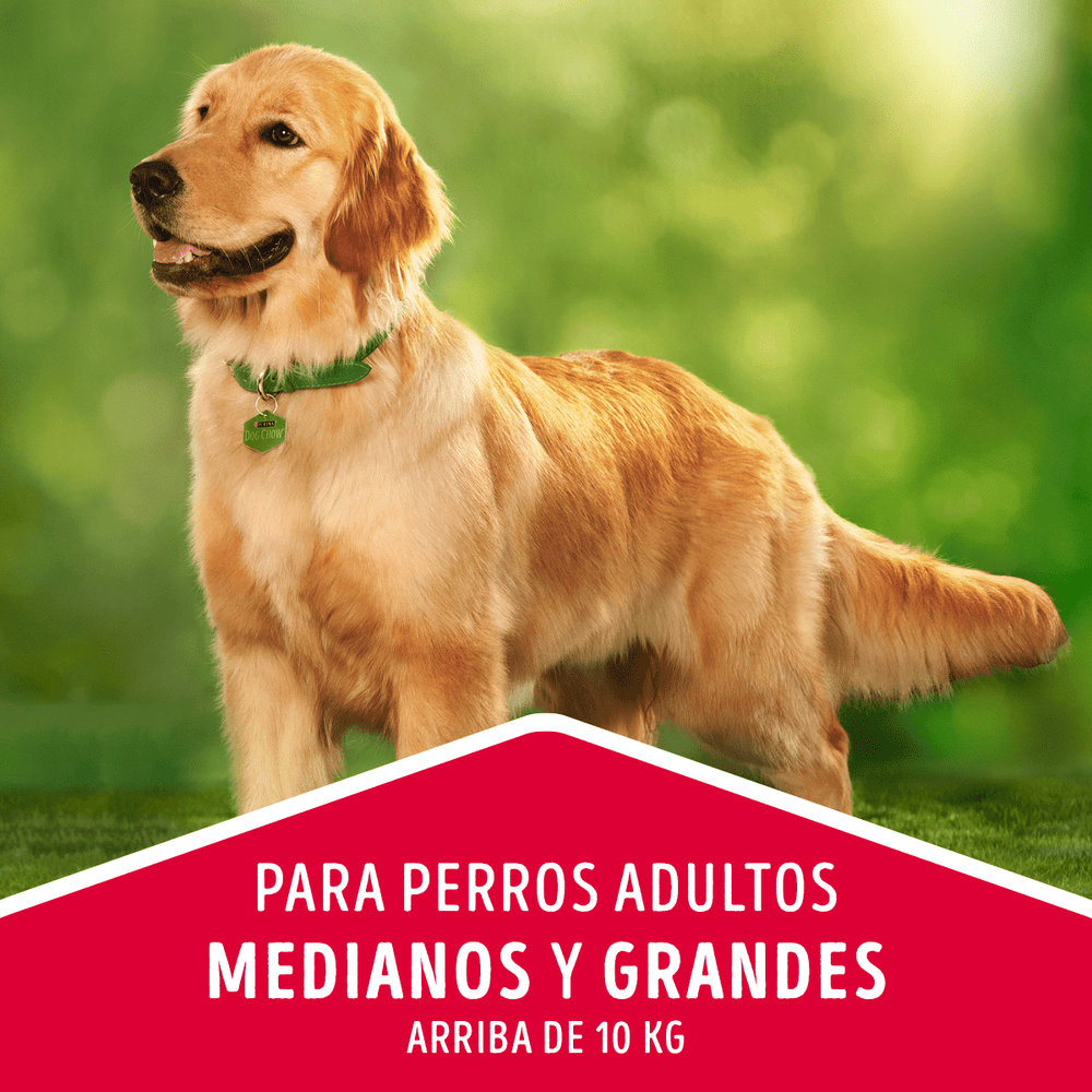 Dog Chow Perros Adultos Medianos Y Grandes Carne Y Pollo 8Kg