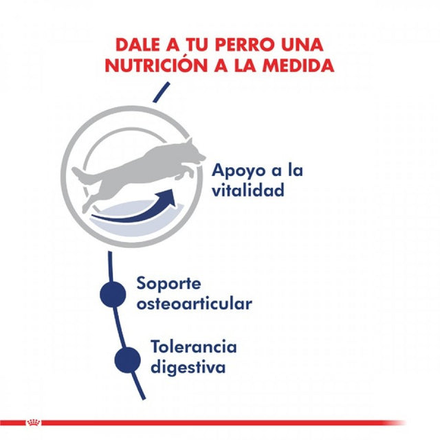 Royal Canin Maxi adulto 5+ 12Kg  Royal Canin Maxi adulto 5+ 12Kg