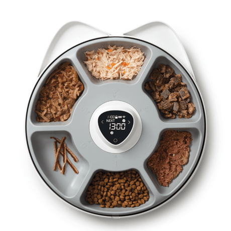 Juguetes y Accesorios para Gatitos Catit Pixi Smart Comedero 6 Porciones Juguetes y Accesorios para Gatitos Catit Pixi Smart Comedero 6 Porciones