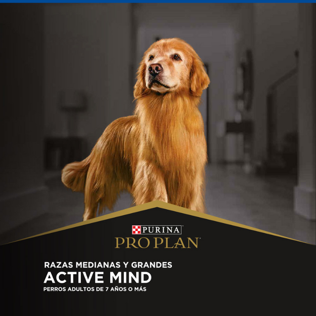 Purina Pro Plan Active Mind 7+ Medium and Large con OptiAge 15kg  Purina Pro Plan Active Mind 7+ Medium and Large con OptiAge 15kg