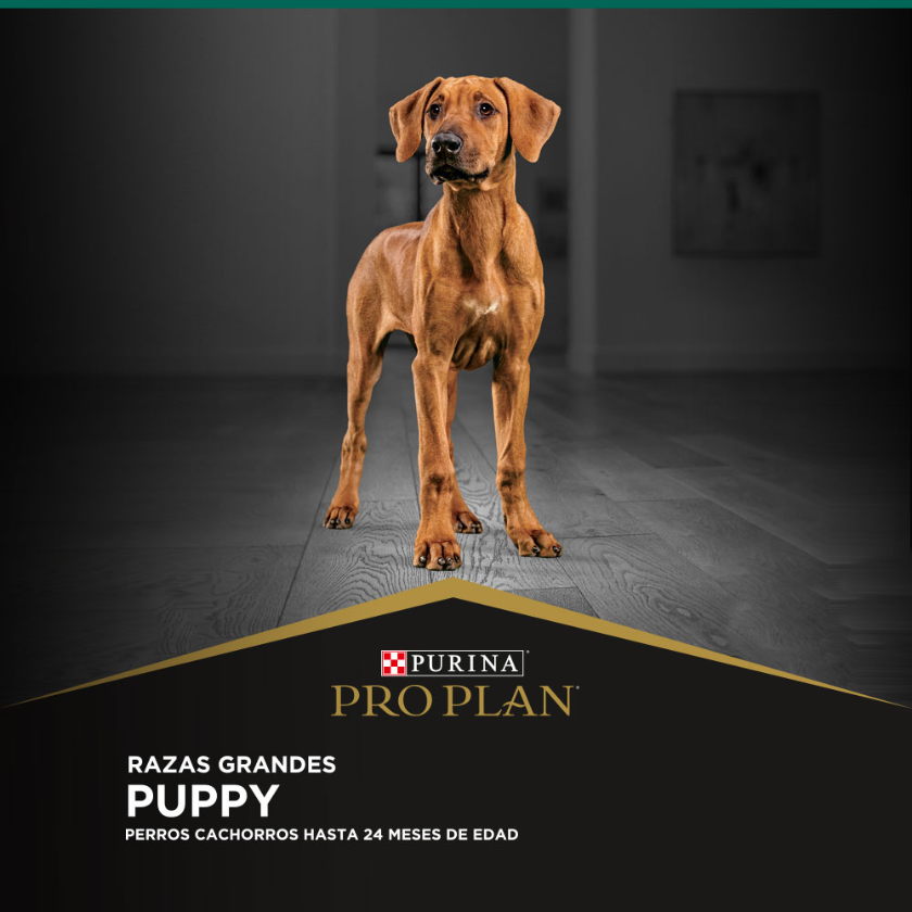 Purina Pro Plan Puppy Large con OptiStar 15kg