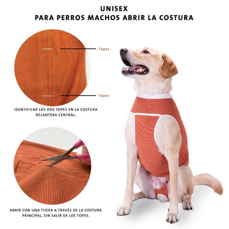 Mundo para Perros BodyCobre Tradicional Postoperatorio Mundo para Perros BodyCobre Tradicional Postoperatorio