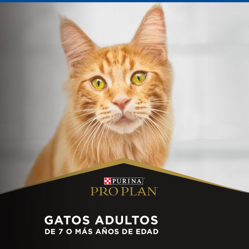 Alimento para gatos Senior PURINA PRO PLAN Adult 7+ 3kg