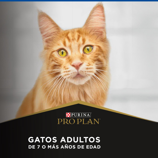 Alimento para gatos Senior PURINA PRO PLAN Adult 7+ 3kg  Alimento para gatos Senior PURINA PRO PLAN Adult 7+ 3kg