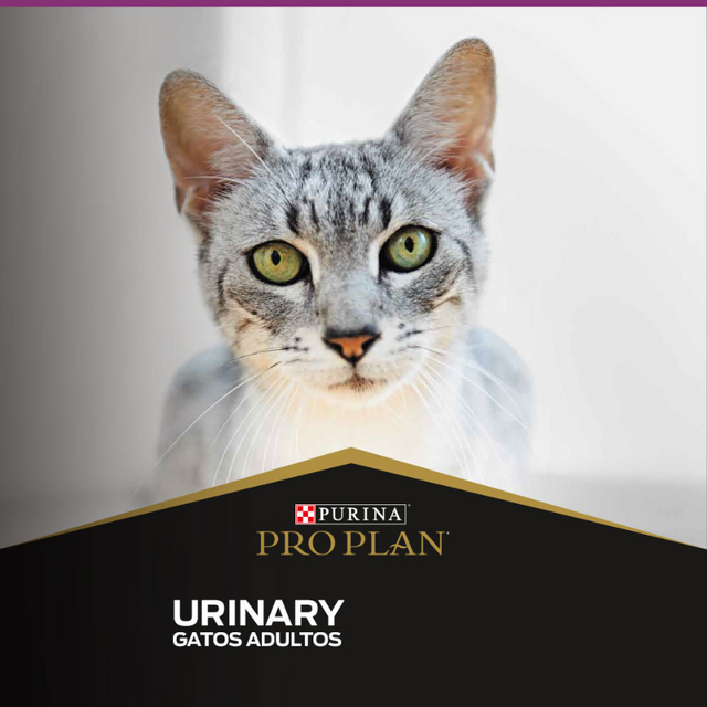 Alimento seco para gato PRO PLAN® Adulto Urinary Alimento seco para gato PRO PLAN® Adulto Urinary
