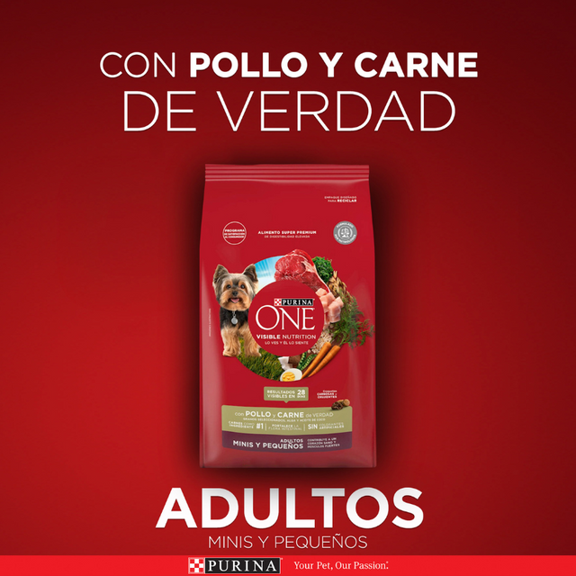 Alimento seco para perro PURINA® ONE® Adulto Mini y Pequeño Pollo y Carne 2kg Alimento seco para perro PURINA® ONE® Adulto Mini y Pequeño Pollo y Carne 2kg