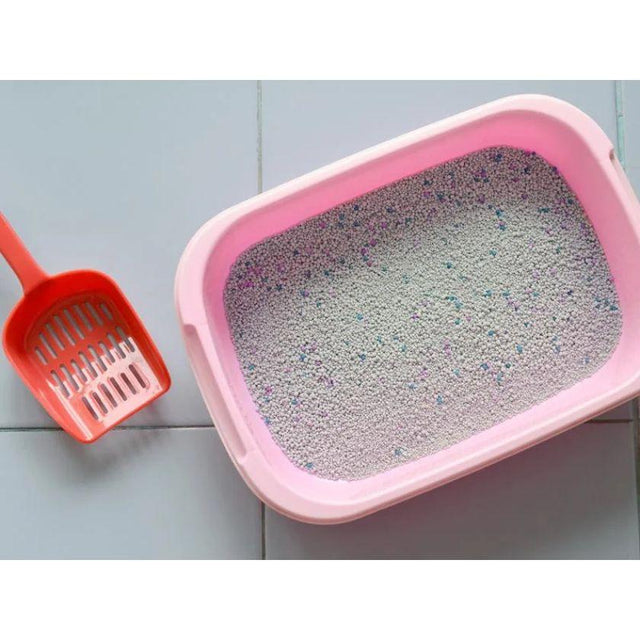 Arena Aglutinante Misifus Aroma Manzana 8kg Arena Aglutinante Misifus Aroma Manzana 8kg