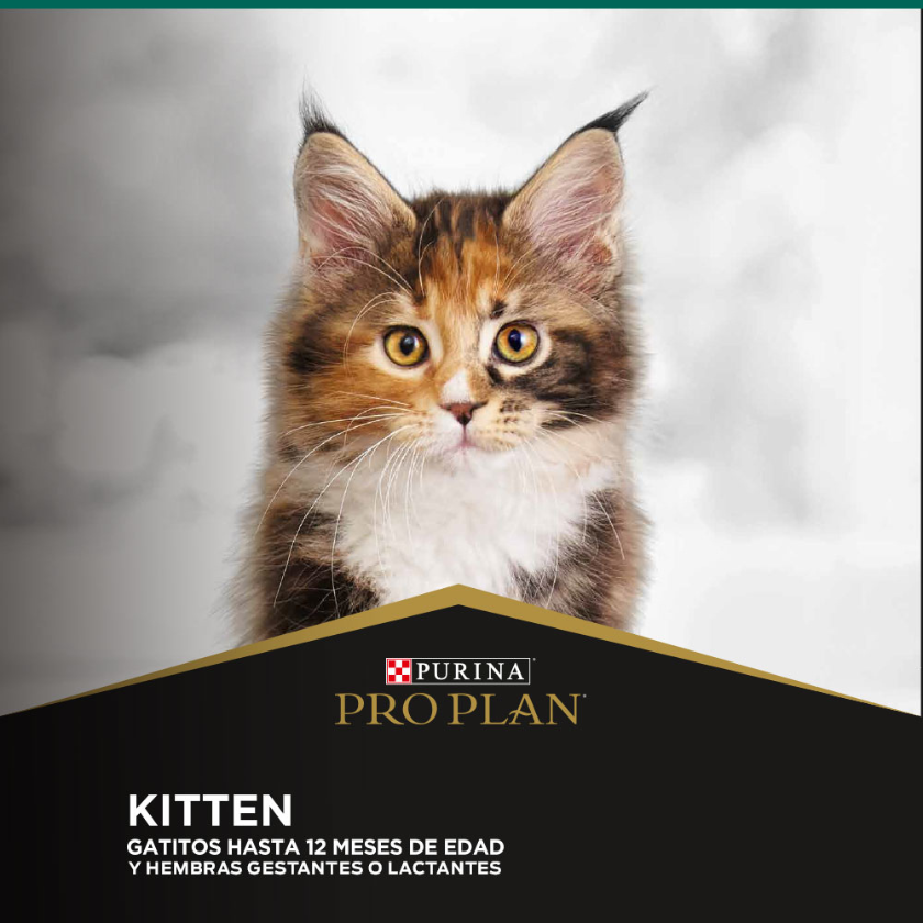 Purina Pro Plan Cat Kitten con OptiStart 3kg