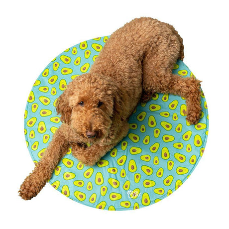 Mundo para Perros Gfpet AQUA - Manta refrescante Mundo para Perros Gfpet AQUA - Manta refrescante