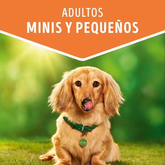 Alimento Humedo Para Perro Dog Chow® Adultos Minis Y Pequenos Sabor Salmon 100Gr Pack 15 Unidades Alimento Humedo Para Perro Dog Chow® Adultos Minis Y Pequenos Sabor Salmon 100Gr Pack 15 Unidades