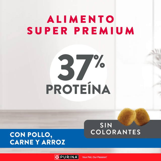 Excellent Cat Kitten 7 5 Kg Excellent Cat Kitten 7 5 Kg