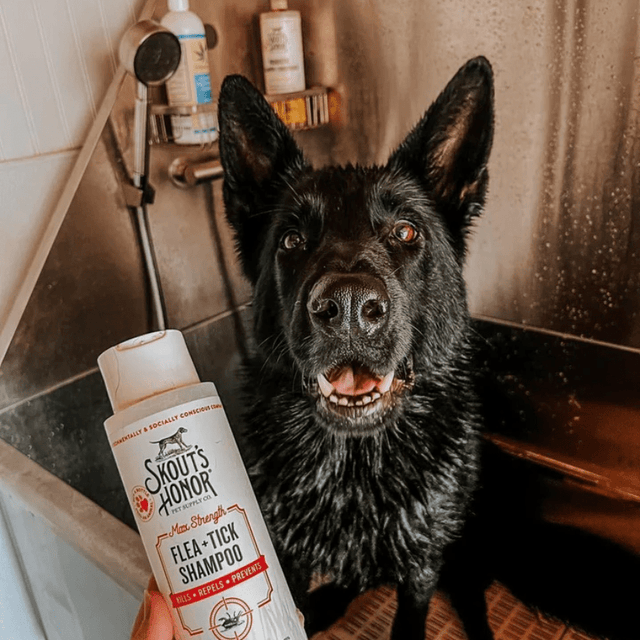 Skouts Honor Dog Shampoo Pulgas Garrapatas 473Ml  Skouts Honor Dog Shampoo Pulgas Garrapatas 473Ml