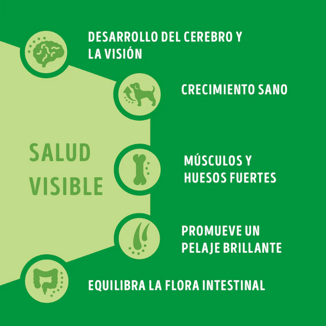 Alimento Seco Purina Dog Chow Perros Cachorros Razas Medianas y grandes 16.5kg Alimento Seco Purina Dog Chow Perros Cachorros Razas Medianas y grandes 16.5kg