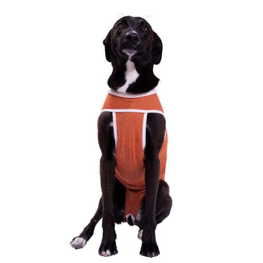 BodyCobre Tradicional Postoperatorio