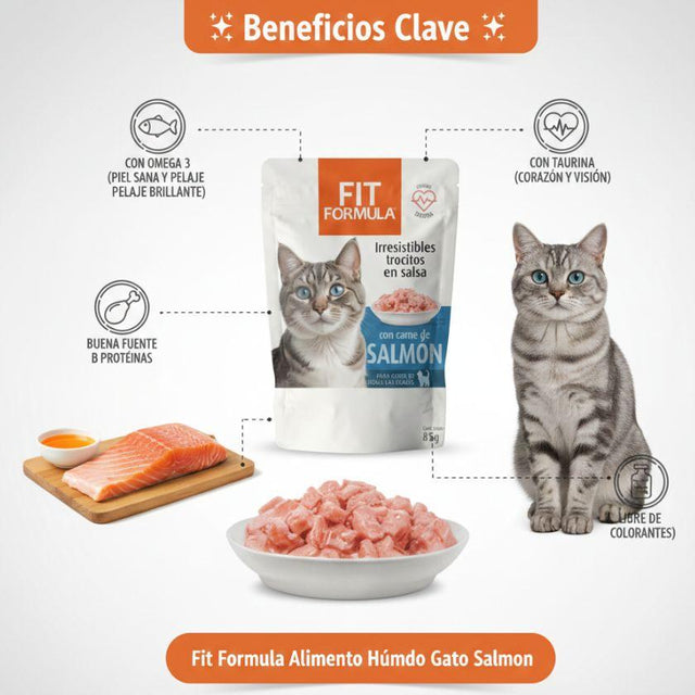 Fit Formula Alimento Húmedo para Gato Sabor Salmon - 85gr PACK 24 Unidades Fit Formula Alimento Húmedo para Gato Sabor Salmon - 85gr PACK 24 Unidades