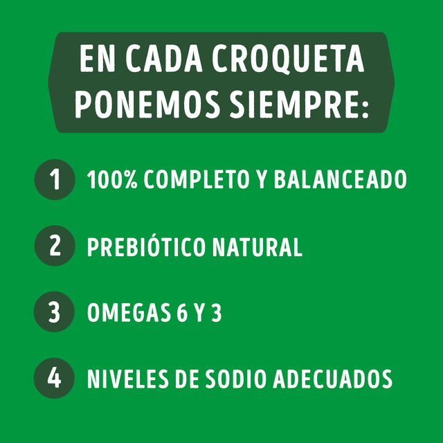 Purina Dog Chow Cachorros Razas Medianas Y Grandes 18Kg Purina Dog Chow Cachorros Razas Medianas Y Grandes 18Kg