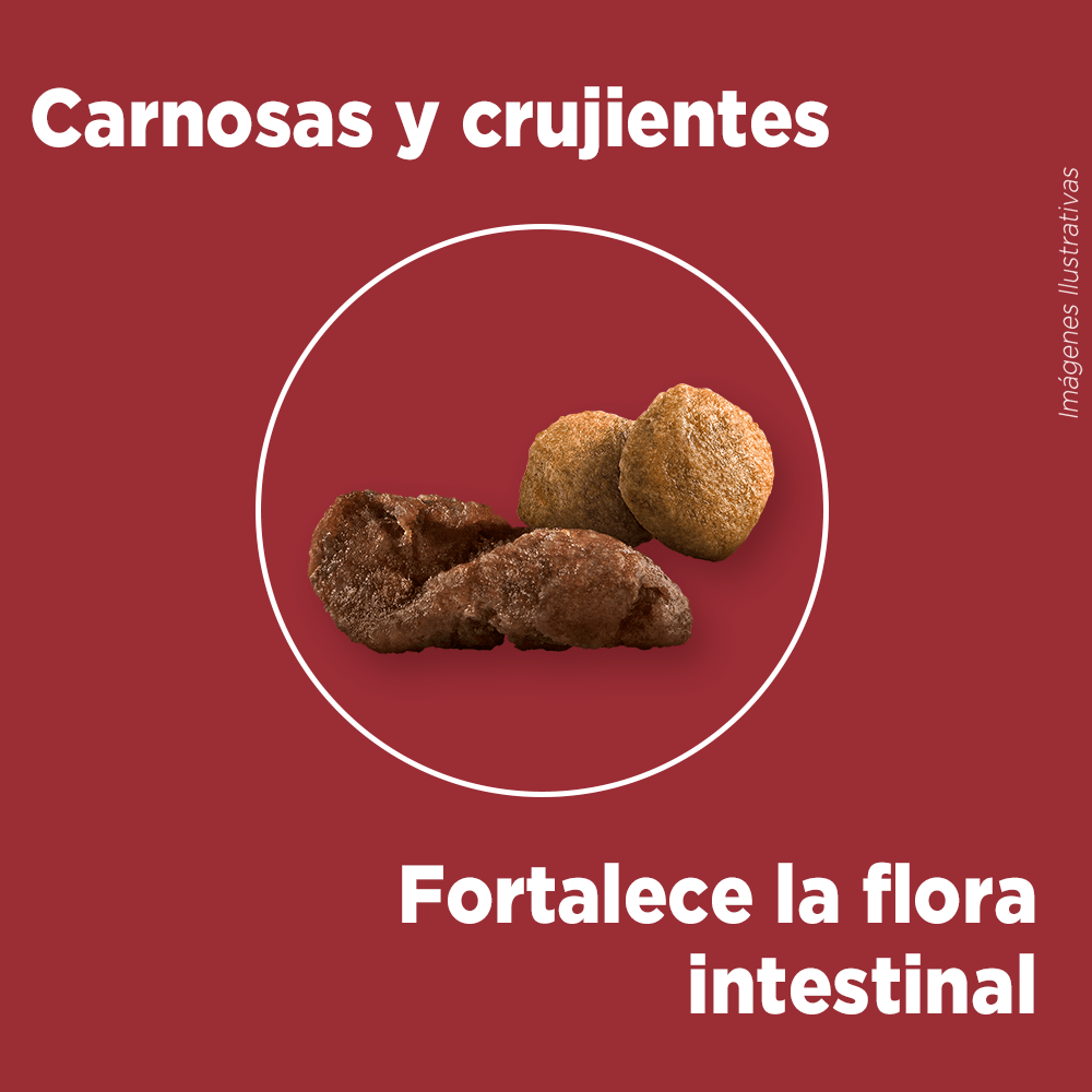 Purina® One® Adulto Mediano Y Grande Pollo Y Cordero 6Kg