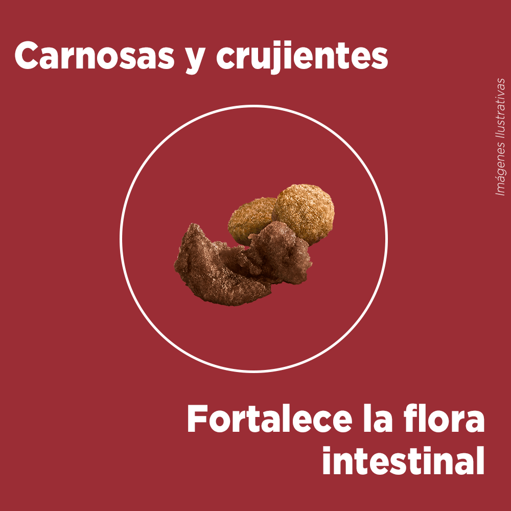 Purina® One® Cachorro Pollo Y Carne 12Kg