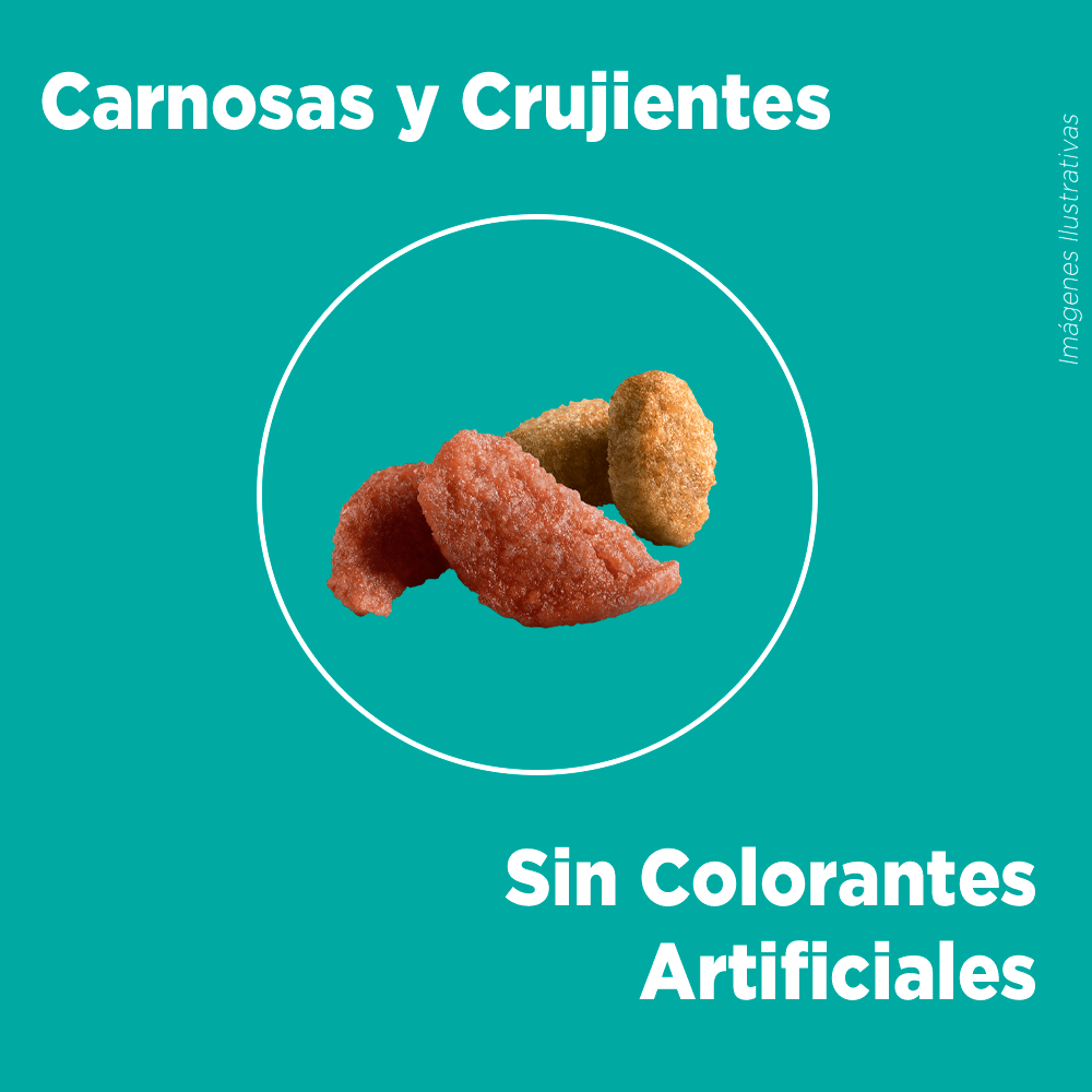 Purina® One® Adulto Pollo Y Salmon 6Kg