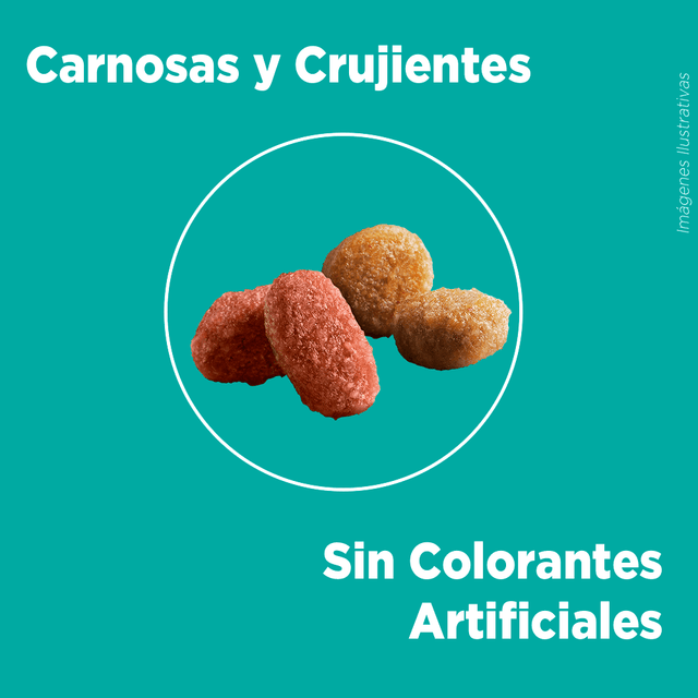 Purina® One® Esterilizado Pollo Y Salmon 6Kg  Purina® One® Esterilizado Pollo Y Salmon 6Kg