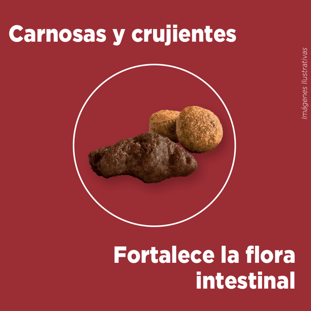 Purina® One® Adulto Mediano Y Grande Pollo Y Carne 12Kg Purina® One® Adulto Mediano Y Grande Pollo Y Carne 12Kg