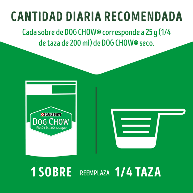 Purina Dog Chow Alimento Humedo Adulto Pavo 100Gr Purina Dog Chow Alimento Humedo Adulto Pavo 100Gr