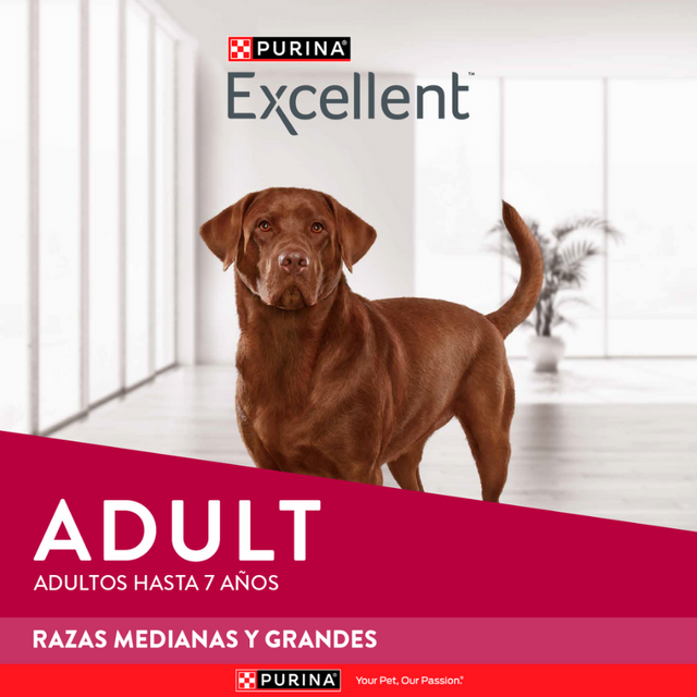 Purina EXCELLENT Perros Adultos Razas Medianas y Grandes 12kg Purina EXCELLENT Perros Adultos Razas Medianas y Grandes 12kg