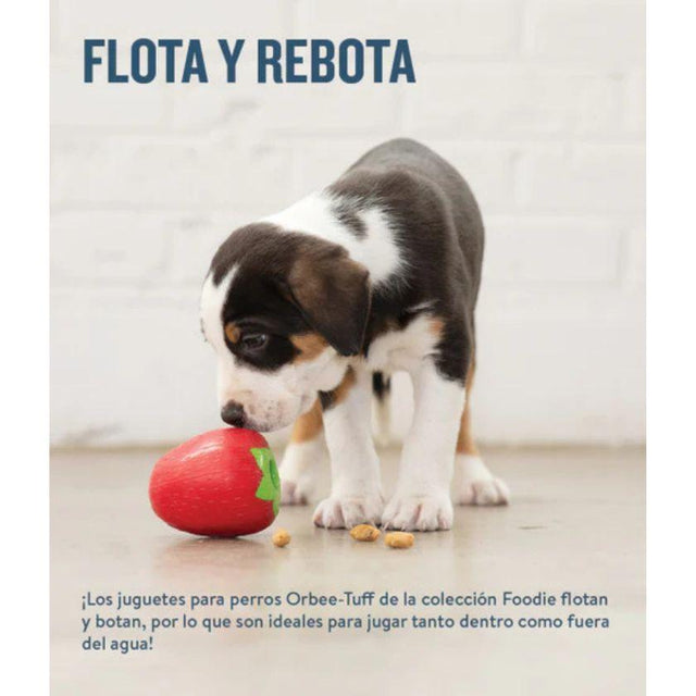 Planet Dog Orbee-Tuff Masticable Frutilla para Perros Planet Dog Orbee-Tuff Masticable Frutilla para Perros