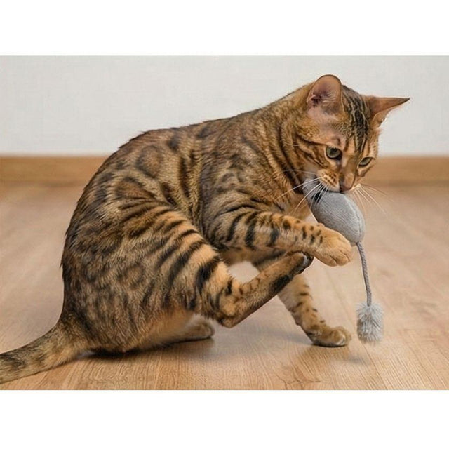 AFP Triplets Mice con Hierba Gatera para Gatos AFP Triplets Mice con Hierba Gatera para Gatos