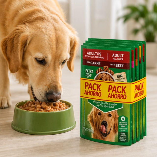 Dog Chow Pouch Pack Multisabor 5 Puch 100gr c/u Dog Chow Pouch Pack Multisabor 5 Puch 100gr c/u