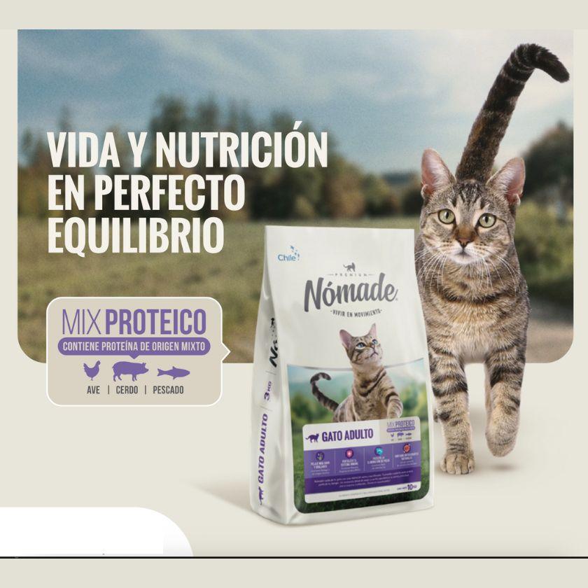 Nómade Gato Adulto