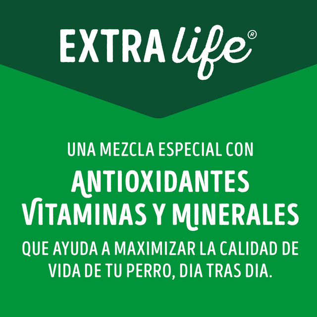 Alimento Humedo Para Perro Dog Chow® Adultos Minis Y Pequenos Sabor Carne 100Gr Pack 15 Unidades Alimento Humedo Para Perro Dog Chow® Adultos Minis Y Pequenos Sabor Carne 100Gr Pack 15 Unidades