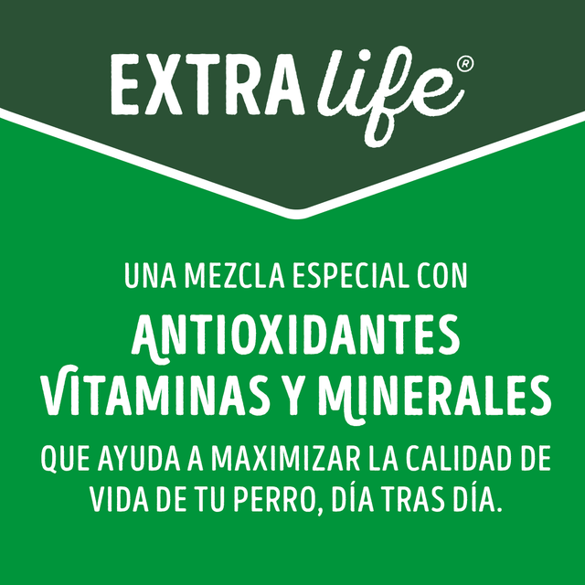 Dog Chow Perros Adultos Medianos Y Grandes Carne Y Pollo 8Kg  Dog Chow Perros Adultos Medianos Y Grandes Carne Y Pollo 8Kg