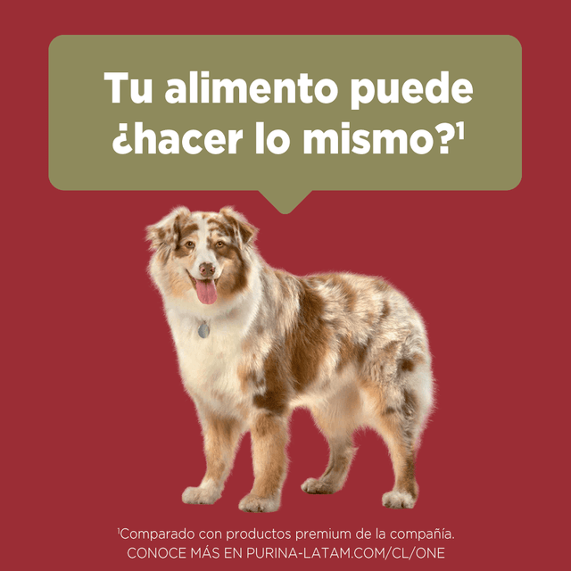 Purina® One® Adulto Mediano Y Grande Pollo Y Carne 12Kg Purina® One® Adulto Mediano Y Grande Pollo Y Carne 12Kg