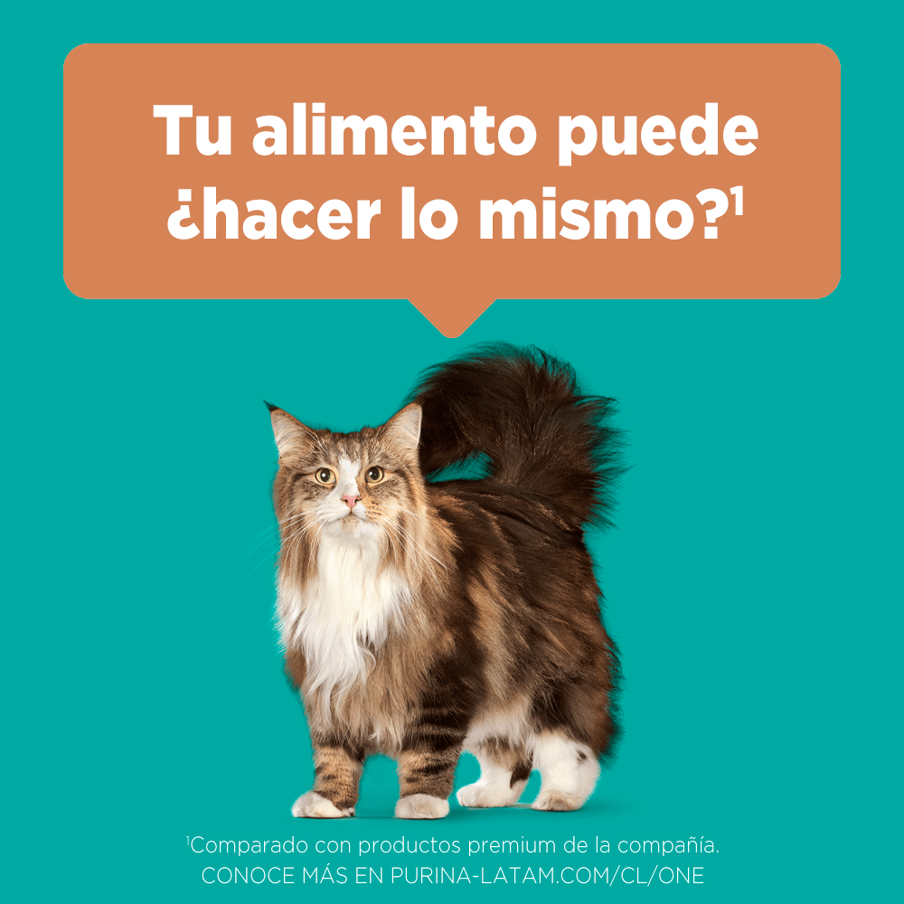 Purina® One® Adulto Pollo Y Salmon 6Kg