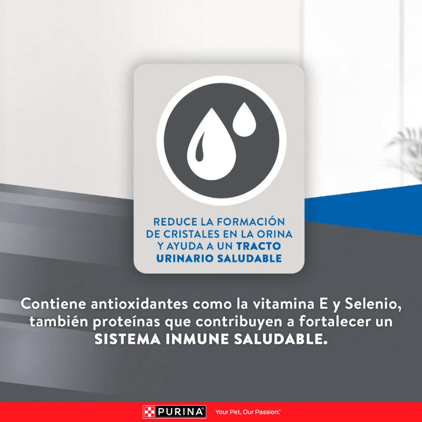 Excellent Cat Urinary 1Kg