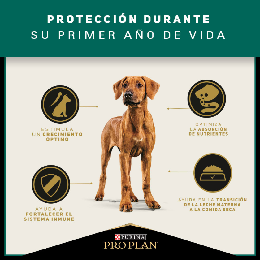 Purina Pro Plan Puppy Large con OptiStar 15kg