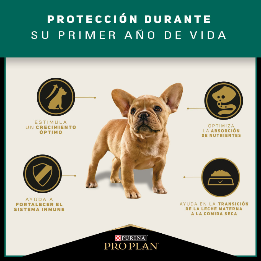 Purina Pro Plan Puppy Small con OptiStar 7.5kg