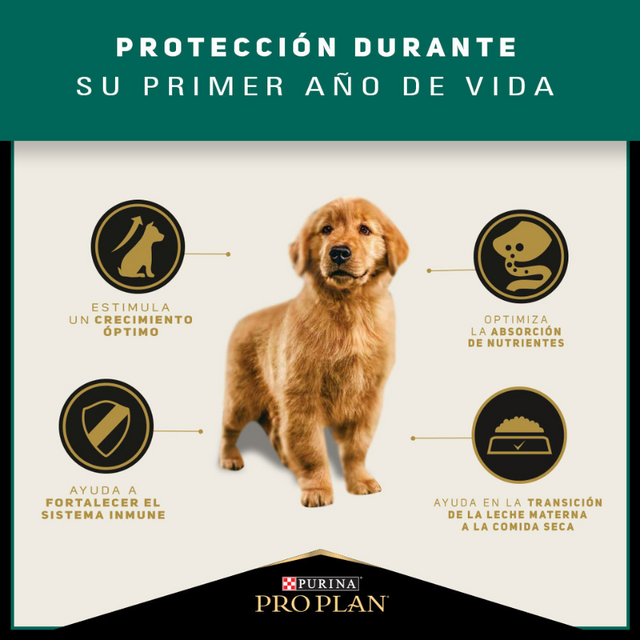Purina PRO PLAN Cachorro Raza Mediana 1kg Purina PRO PLAN Cachorro Raza Mediana 1kg